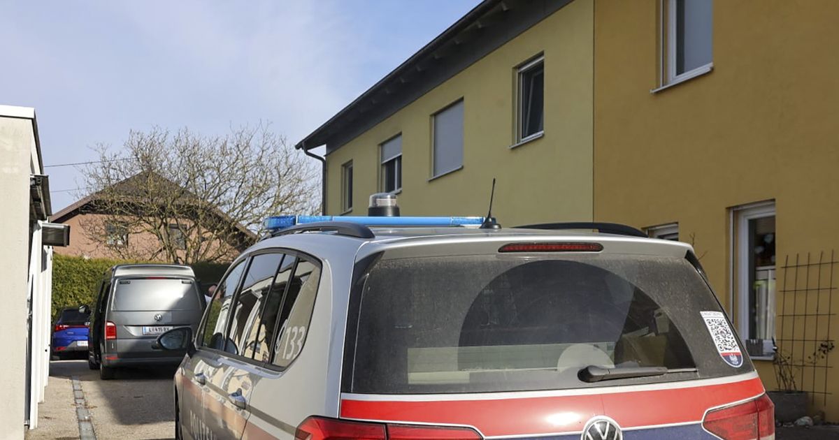 Heuer-bereits-elf-Femizide-in-sterreich-dennoch-deutlich-weniger-als-zuletzt