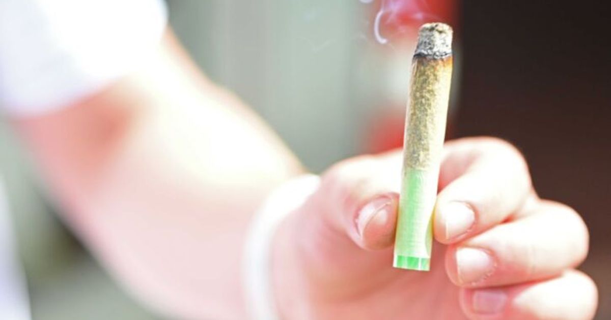 Niederl-ndische-Polizei-fand-86-000-Joints
