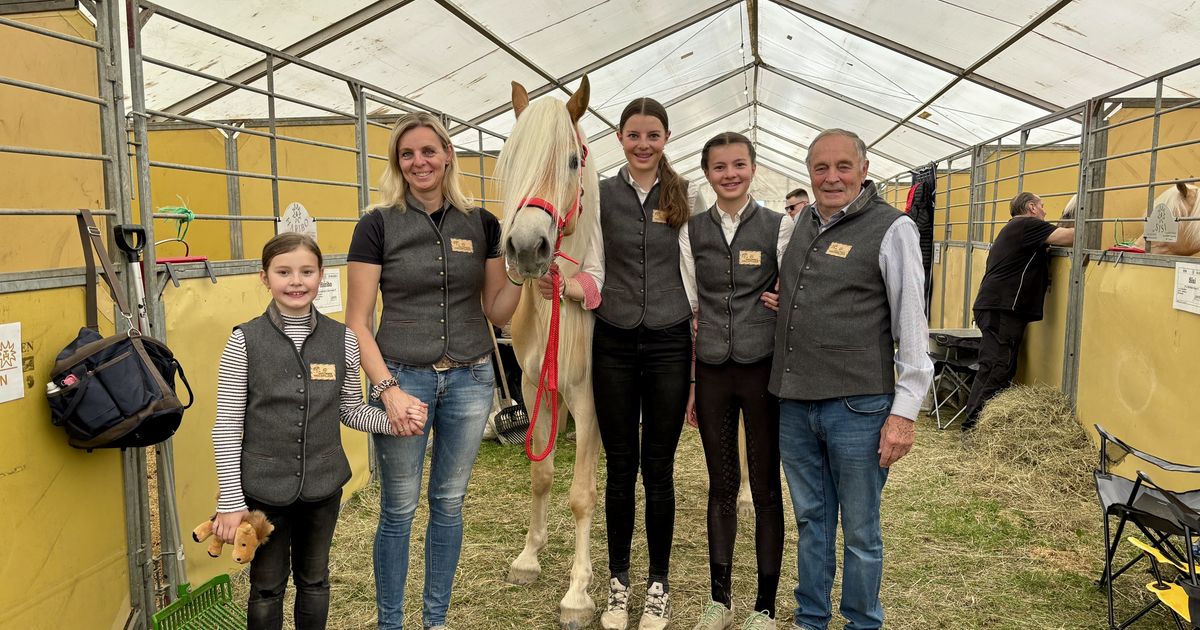 Haflinger-galoppieren-von-Ebbs-aus-um-die-ganze-Welt