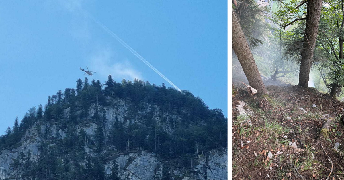 Challenging firefighting operation in Ebbs: Forest fire on the Zahmer ...