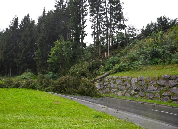 Ein Baum blockierte am Sonntag in Kolsassberg bei Wattens die Fahrbahn