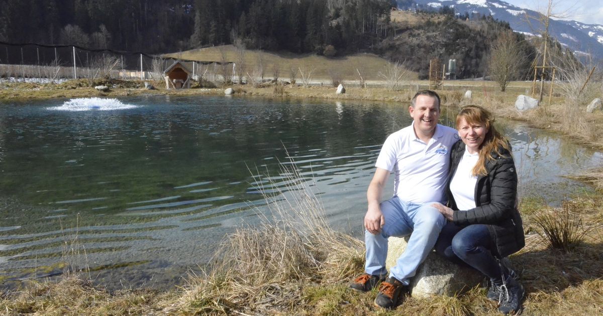 K-he-raus-Fische-rein-Wie-ein-Zillertaler-Landwirt-zum-Fischkaiser-wurde