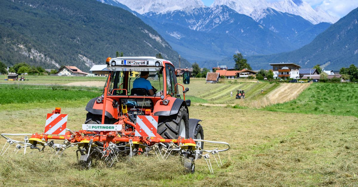 Gute-Nachricht-f-r-Bauern-Warum-im-Dezember-eine-lang-geforderte-F-rderung-wartet