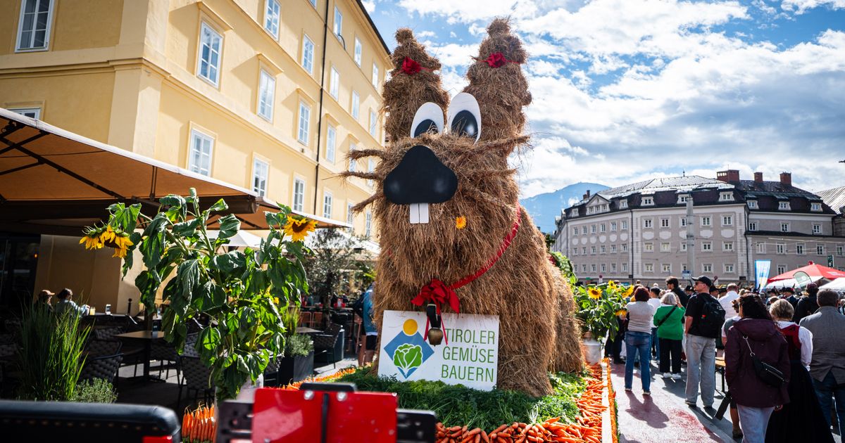Premiere-f-r-Kraut-Knolle-Festumzug-mit-Gem-se-durch-Innsbruck