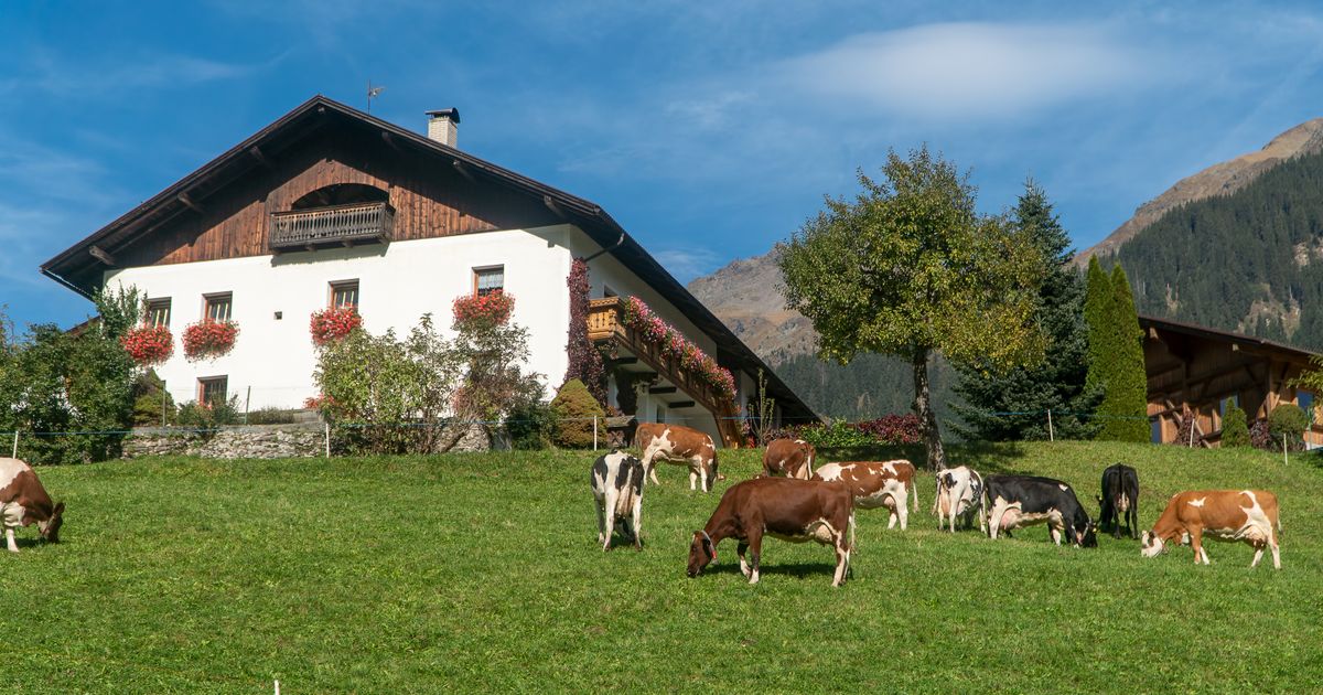 4,633 farmers quit: In the future, a farm will only have to feed one ...