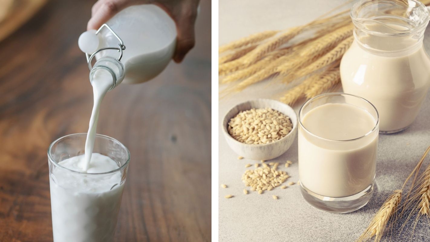 Sind Haferdrinks wirklich nachhaltiger als Milch? Sieben Mythen auf dem Prüfstand
