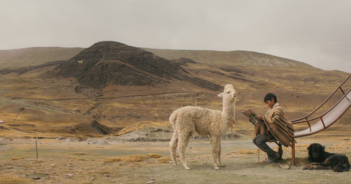 Was-heuer-beim-Innsbruck-Nature-Film-Festival-alles-geboten-wird