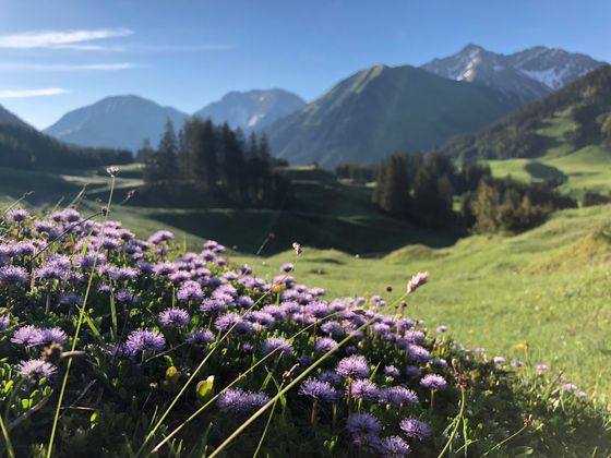 Sommerbild aus Berwang.