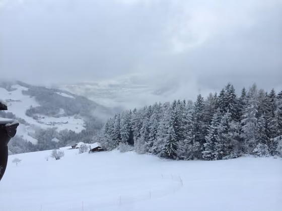 Wattenberg