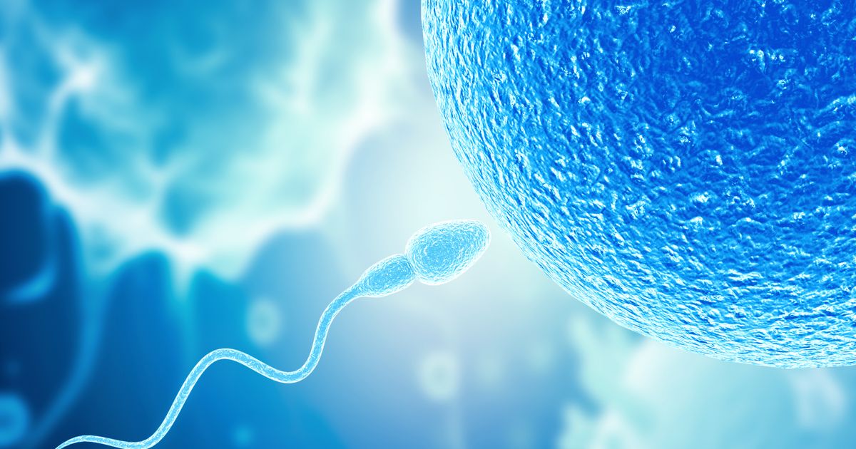 Fehler-bei-der-Samenbank-Spermaspender-mit-Krebsrisiko-zeugte-200-Kinder