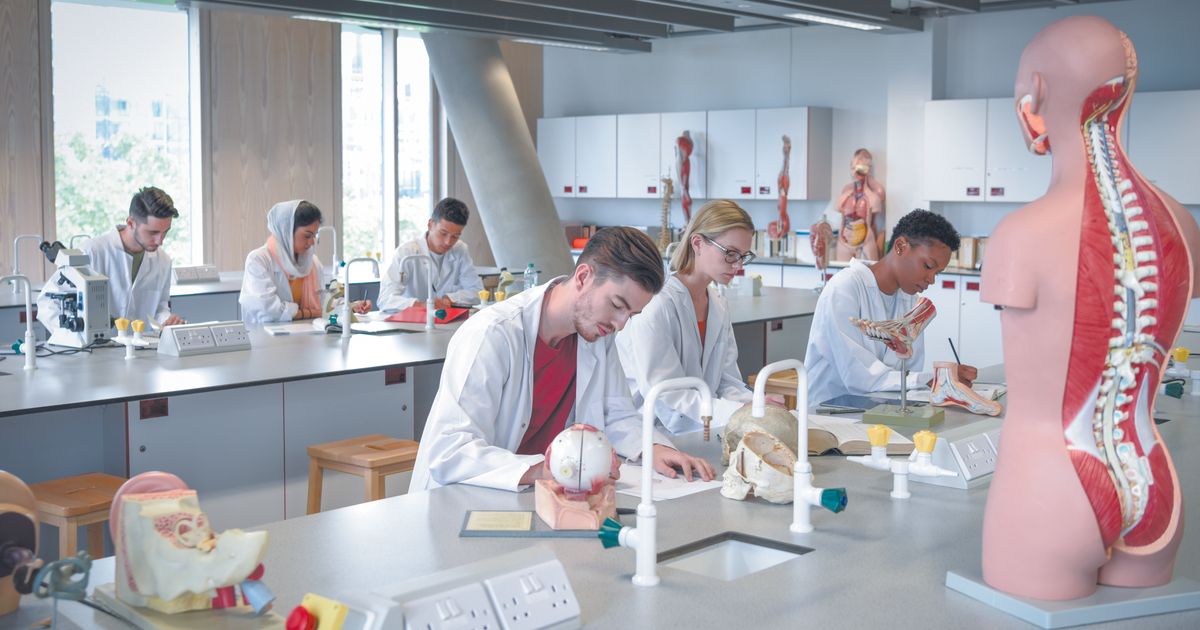 Medizinstudium-in-W-rgl-Private-Uni-plant-120-Studienpl-tze-in-Tirol