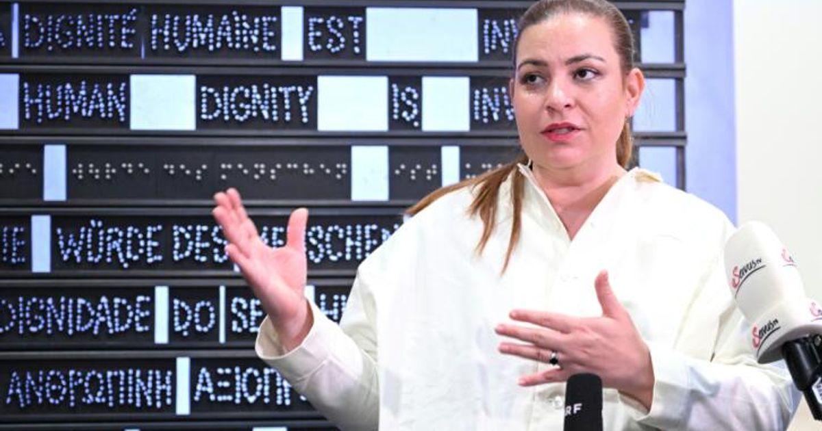 U-Ausschuss-Tomaselli-kritisiert-schlampige-Ermittlungen