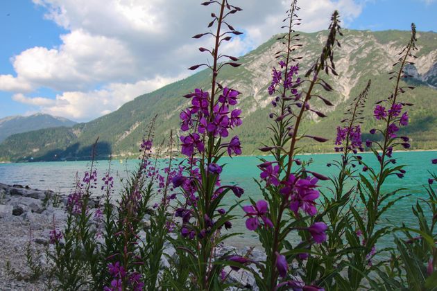 Achensee.