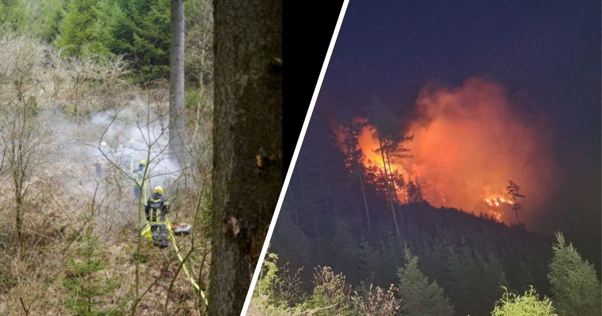 -Kein-Feuer-nicht-rauchen-Alpenverein-Naturfreunde-und-Bundesforste-rufen-zu-Vorsicht-auf