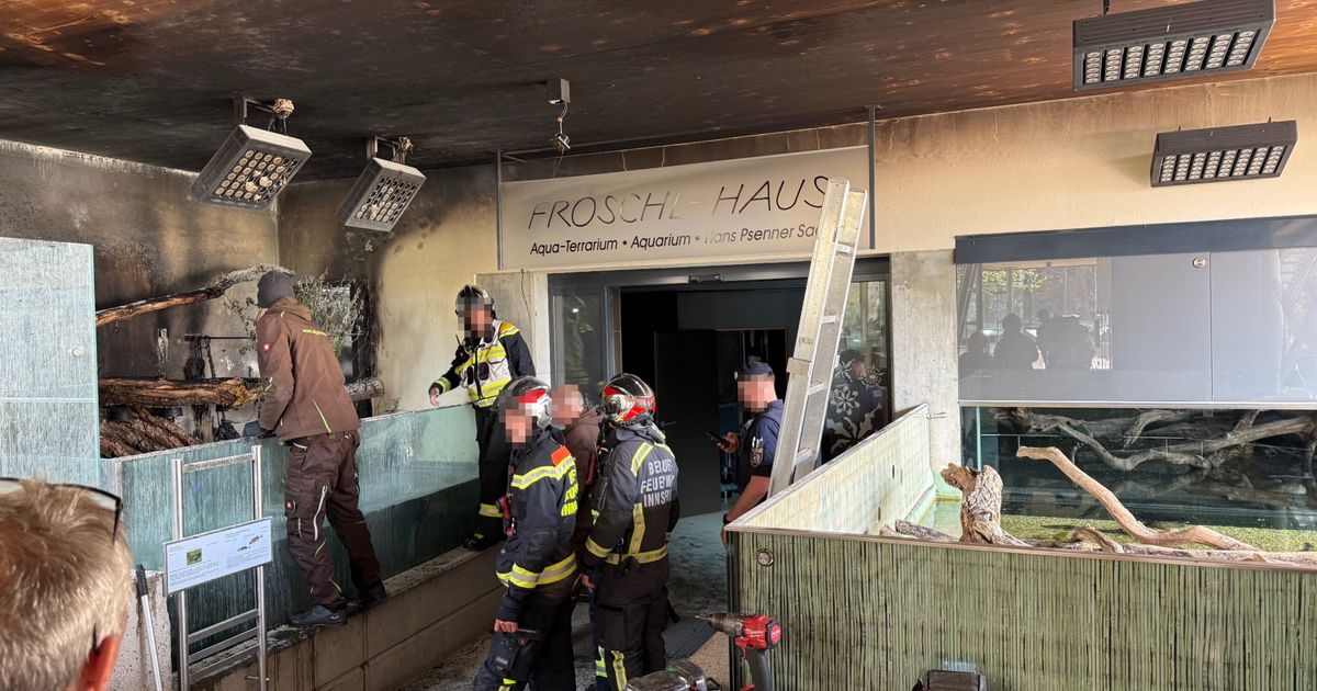 Feuerwehreinsatz-im-Alpenzoo-Mehrere-Fische-bei-Brand-im-Fr-schl-Haus-verendet