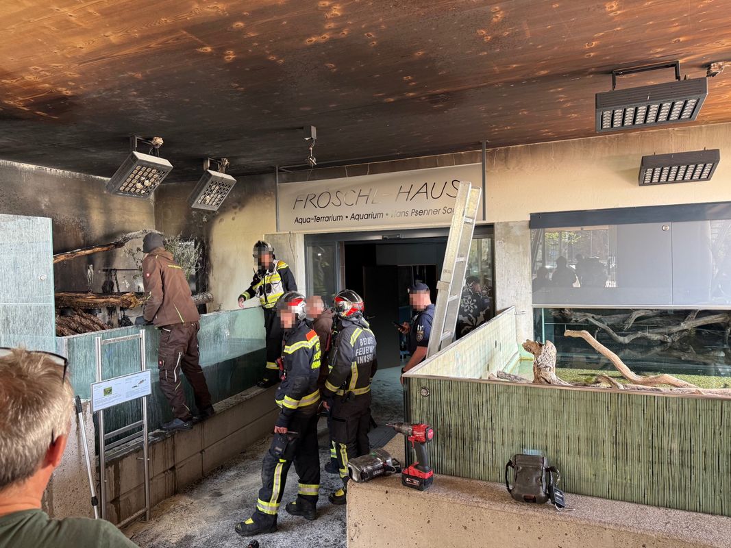 Feuerwehreinsatz im Alpenzoo: Mitarbeiter und Besucher verhinderten Schlimmeres