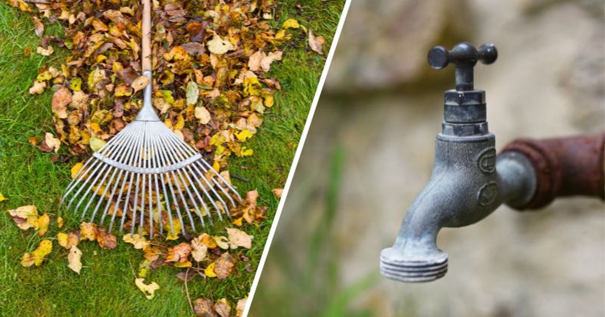 So-wird-der-Garten-winterfest-Elf-Tipps-von-Profi-Karl-Ploberger