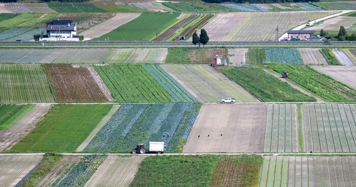 The situation is also critical in Tyrol: 40 percent less harvest for ...