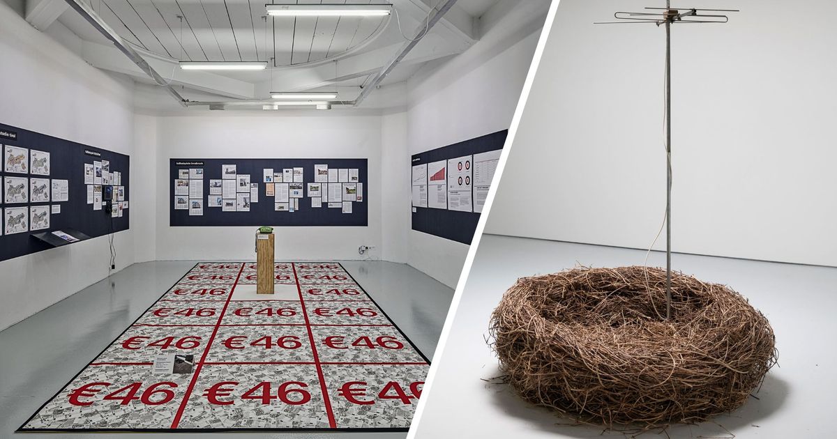 782-Euro-f-r-17-Quadratmeter-aut-zeigt-wie-prek-r-die-Wohnungssituation-in-Tirol-ist