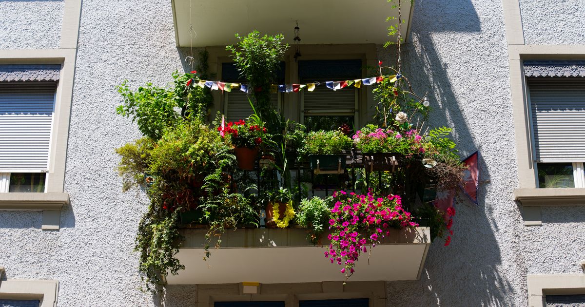 Gr-noase-oder-Grillparty-Was-am-Balkon-erlaubt-ist-und-was-nicht