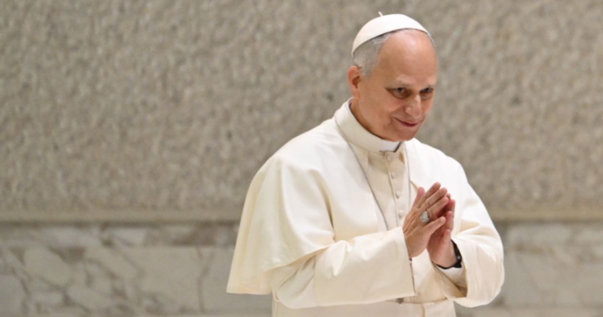 Papst-Leo-XIV-empf-ngt-Van-der-Bellen