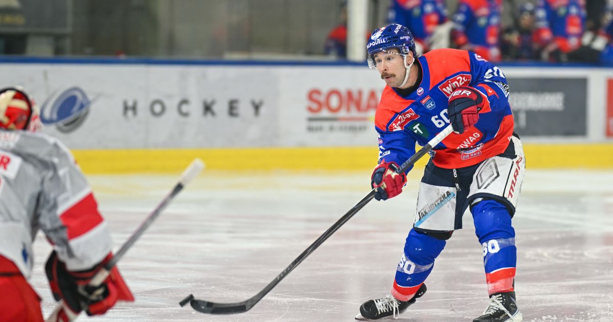 Ein-Punkt-war-f-r-die-Haie-in-Ungarn-vor-den-treuen-Fans-zum-Greifen-nahe