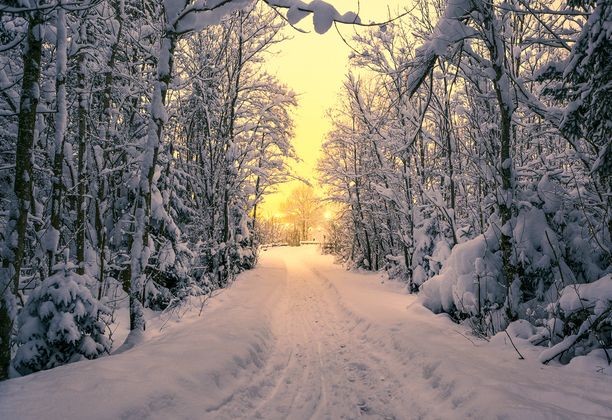 Lechweg in Höfen im Außerfern.