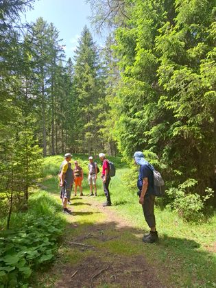 TT-Leser auf der geführten Wanderung zum Brandopferplatz und durchs Piller Moor.