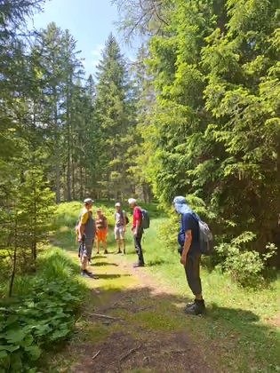 TT-Leser auf der geführten Wanderung zum Brandopferplatz und durchs Piller Moor.