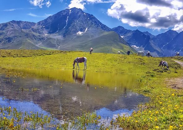 Ein Foto vom Rangger Köpfl mit Blick auf den Rosskogel.