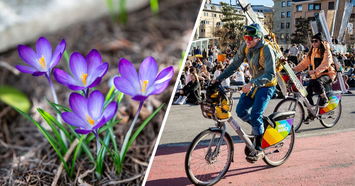 T-Shirt-Wetter-mit-F-hn-und-Saharastaub-Wird-der-20er-in-Tirol-heute-schon-geknackt-