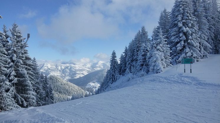 Sabine Doll genoss den Wintertag in der Wildschönau.