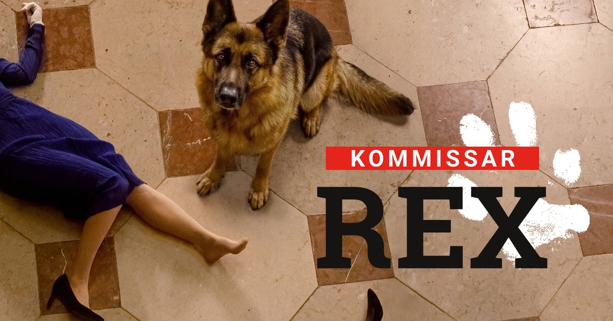 Neue-Folgen-in-Spielfilml-nge-Kommissar-Rex-geht-ab-Mitte-April-wieder-auf-Spurensuche