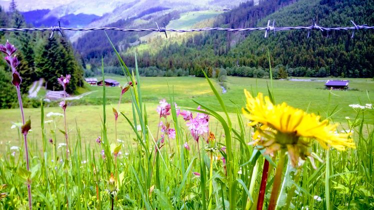 Märzengrund Zillertal.