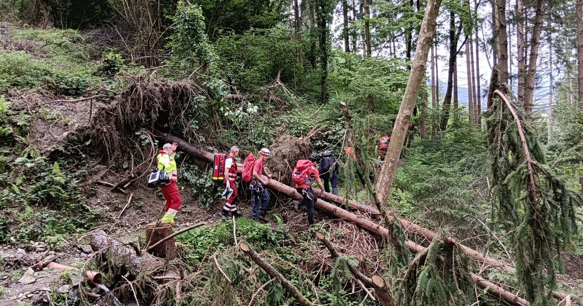 Beim-Schwammerlsuchen-in-Pill-abgest-rzt-Mann-musste-verletzt-ber-Nacht-ausharren