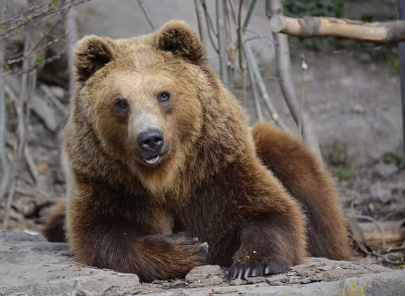 Alpenzoo Innsbruck