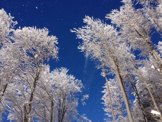 Winterlandschaft in der Wildschönau (Niederau).