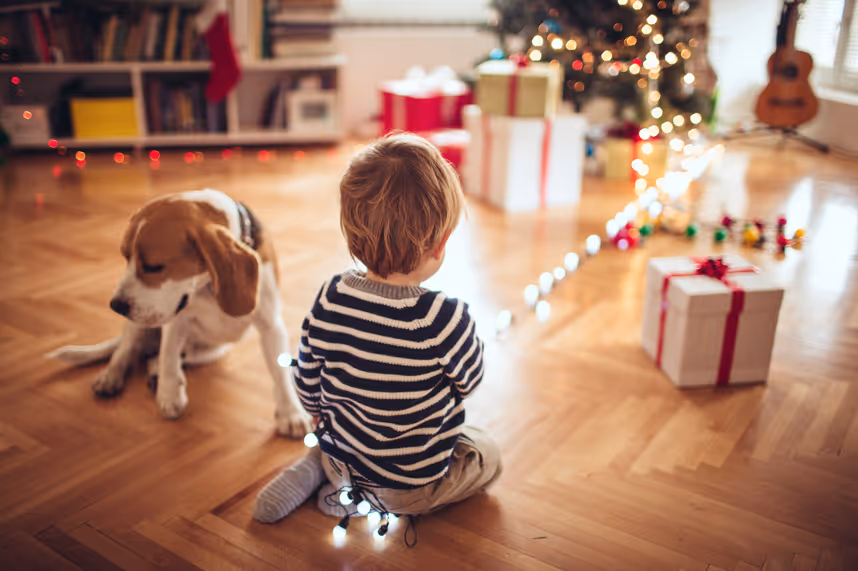 Tiere als Weihnachtsgeschenk: Leider oft ein unüberlegter Kauf