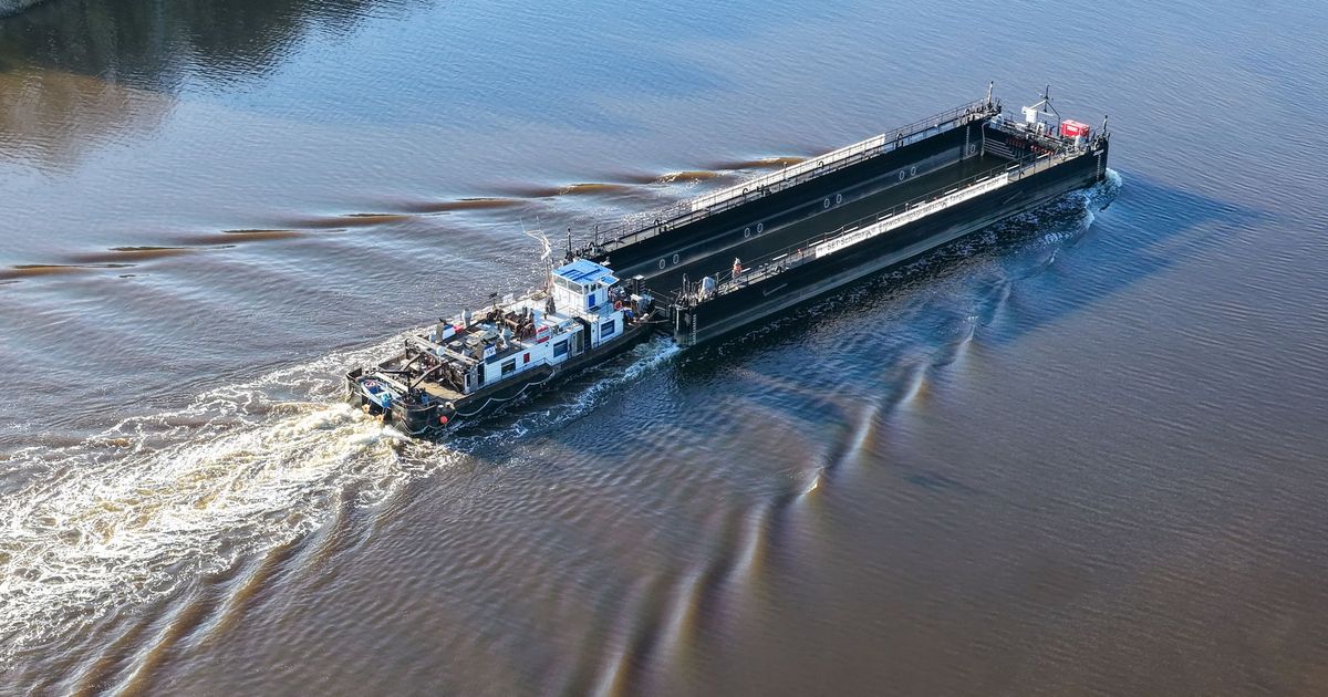 Gestrandeter-Wal-soll-nun-mit-Lastkahn-abtransportiert-werden