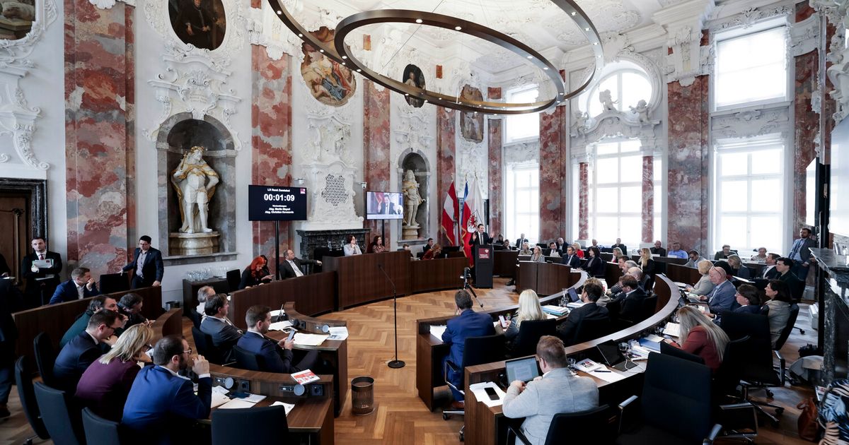 Warum-die-kleinen-Oppositions-Parteien-beschneiden-