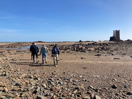 Der Gezeitenwechsel auf Jersey ist spektakulär. Empfehlenswert: Eine Wattwanderung zum Seymour Tower bei Ebbe.Im Turm kann man auch übernachten.