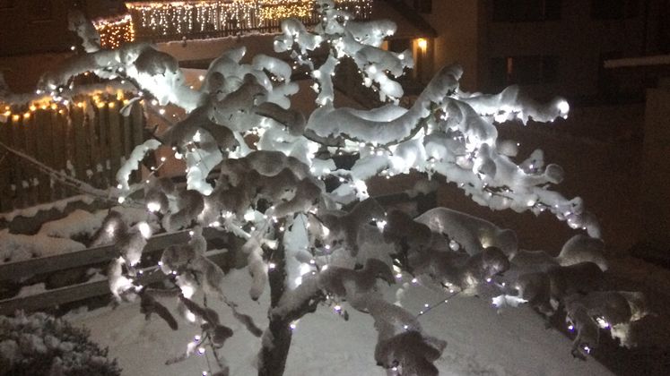 Eine Szene wie im Wintermärchen aus Unterlangkampfen.