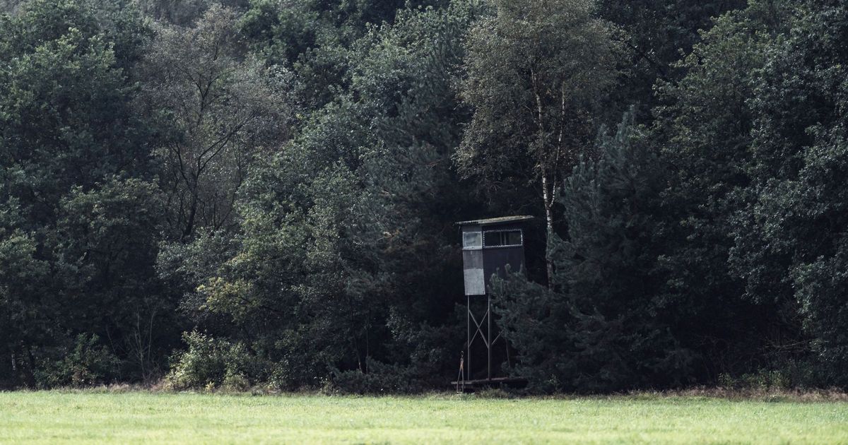 Aus-der-Verankerung-gerissen-J-ger-fand-zerst-rten-Hochsitz-in-V-ls