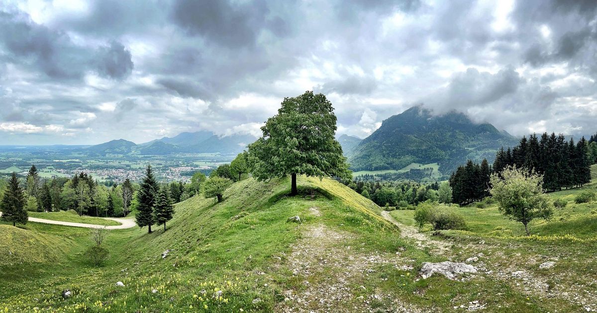 Kindergartenkinder-bei-Ausflug-pl-tzlich-weg-Gro-e-Suche-nahe-Tiroler-Grenze