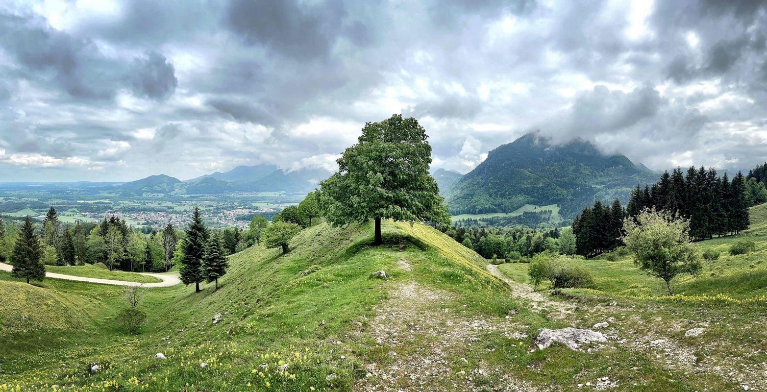 Kindergartenkinder bei Ausflug plötzlich weg: Große Suche nahe Tiroler Grenze