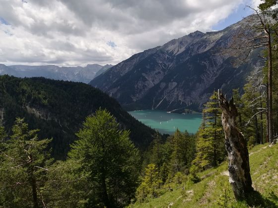 Auf dem Weg zu Köglalm mit Blick auf den Achensee.