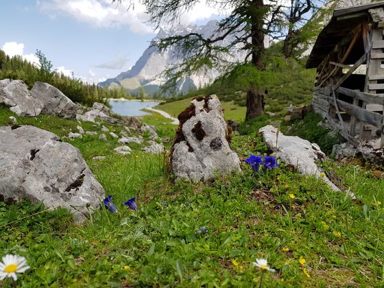 Blick über den Seebensee Richtung Wettersteinmassiv.