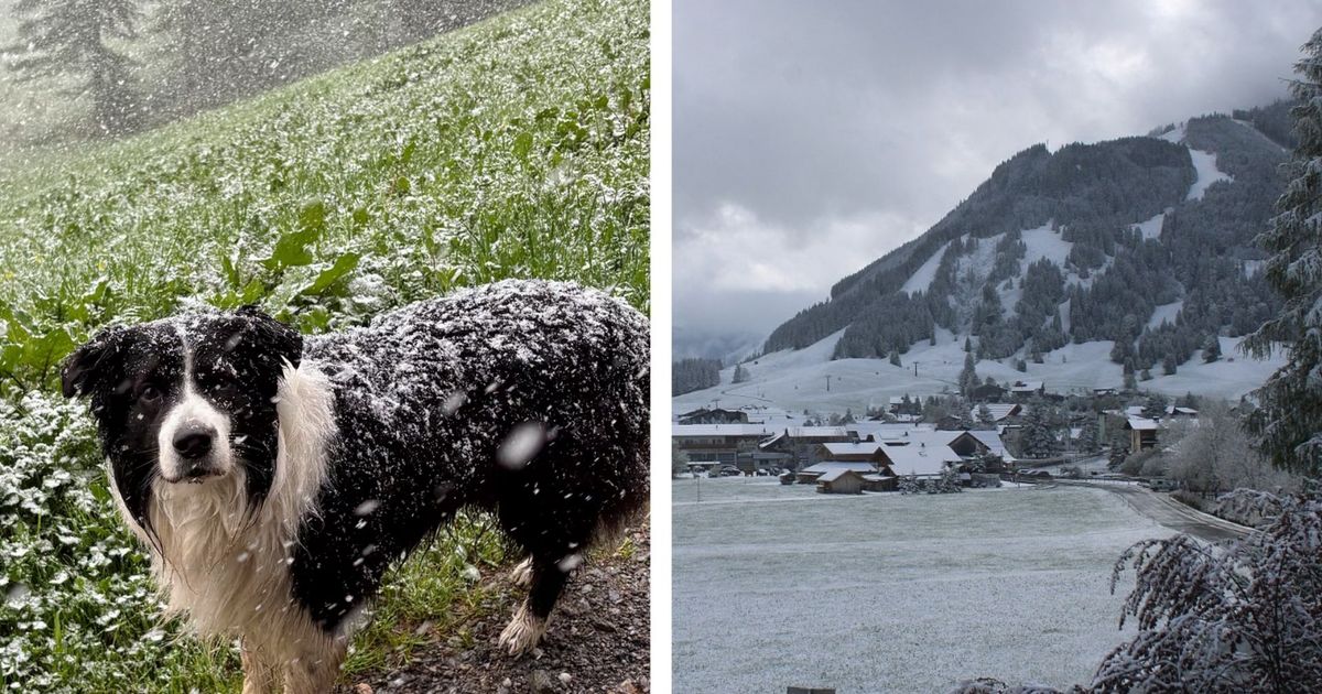 P-nktlich-zu-den-Eisheiligen-K-lteeinbruch-brachte-Schnee-bis-in-Tirols-T-ler
