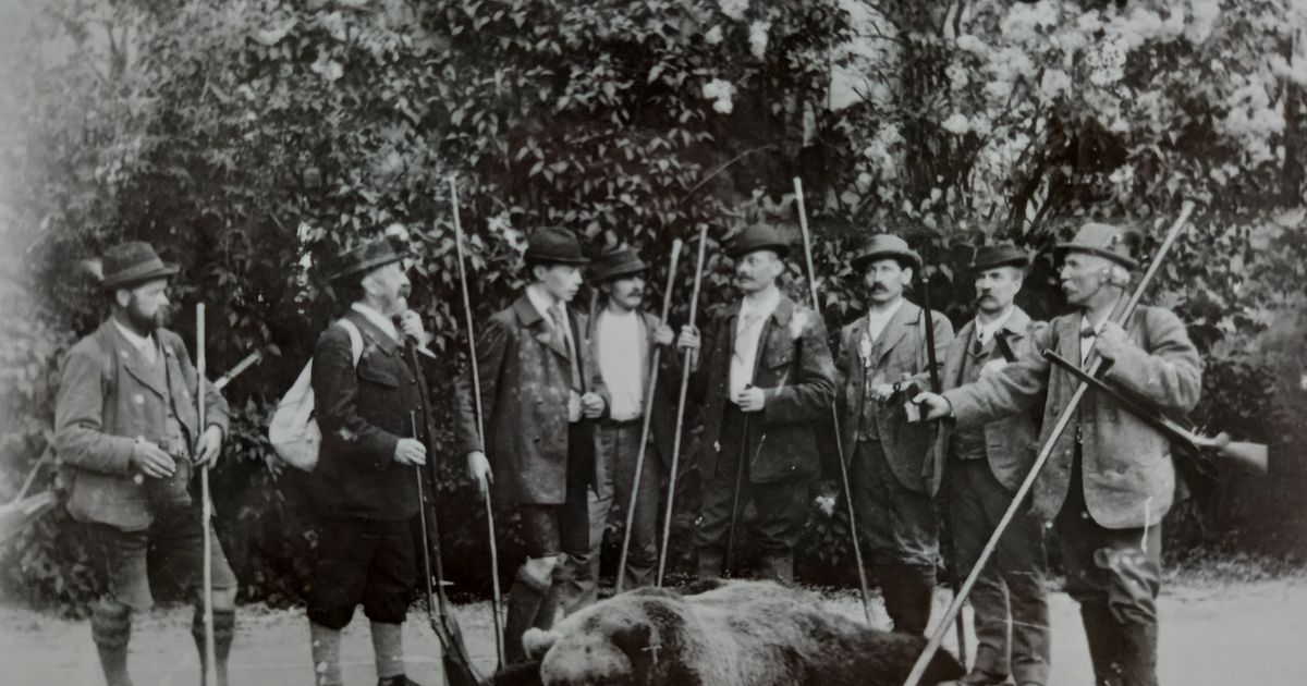 Wilde-Geschichten-ber-Tirols-letzte-B-renj-ger