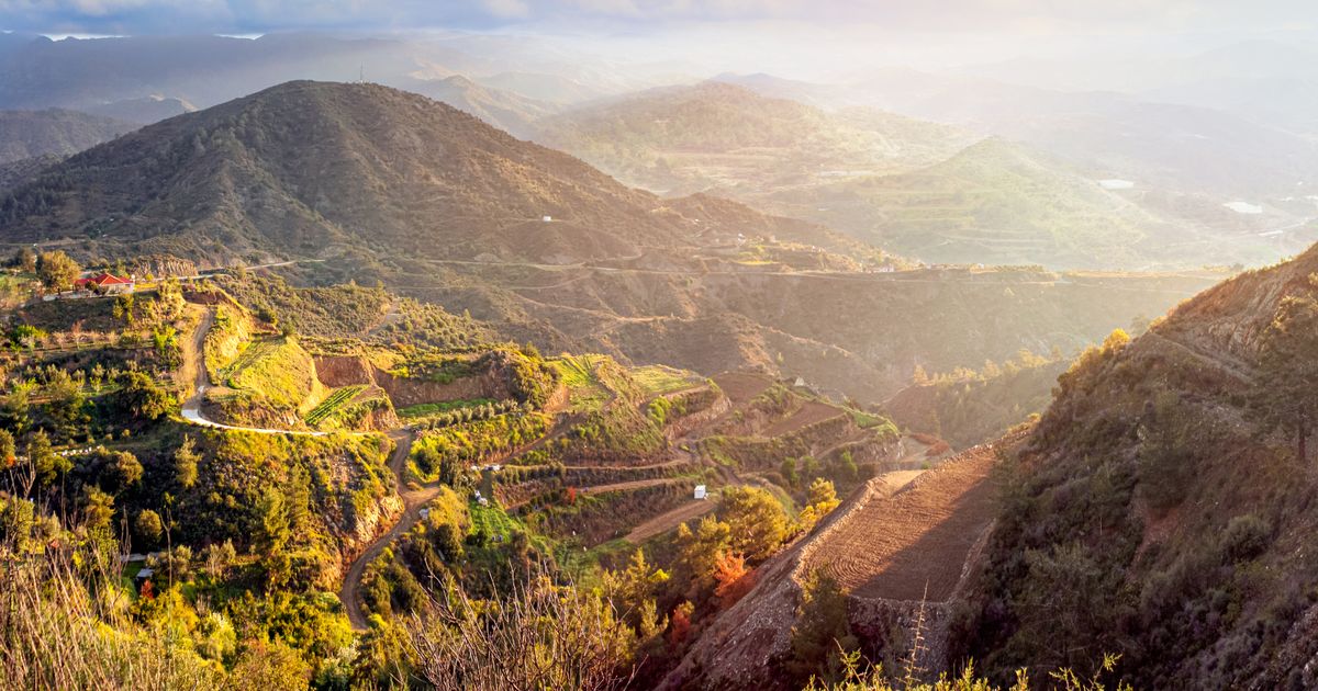 Zypern-als-ideales-Reiseziel-f-r-Weinliebhaber